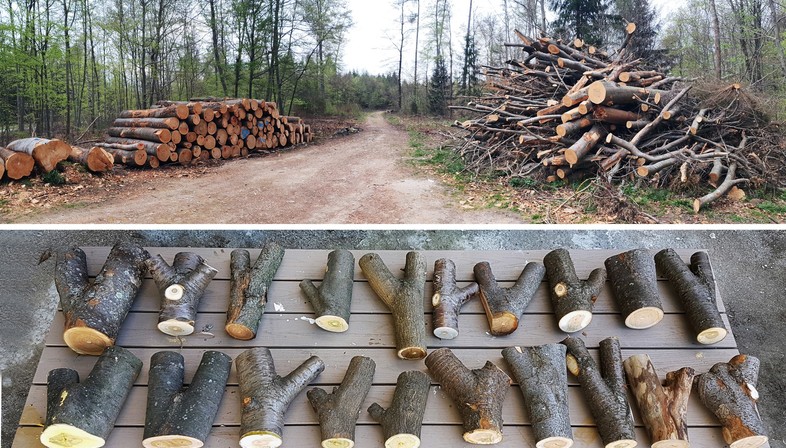 Structural upcycling: where natural geometry meets digital geometry
结构升级:自然几何形状符合数字几何形状
